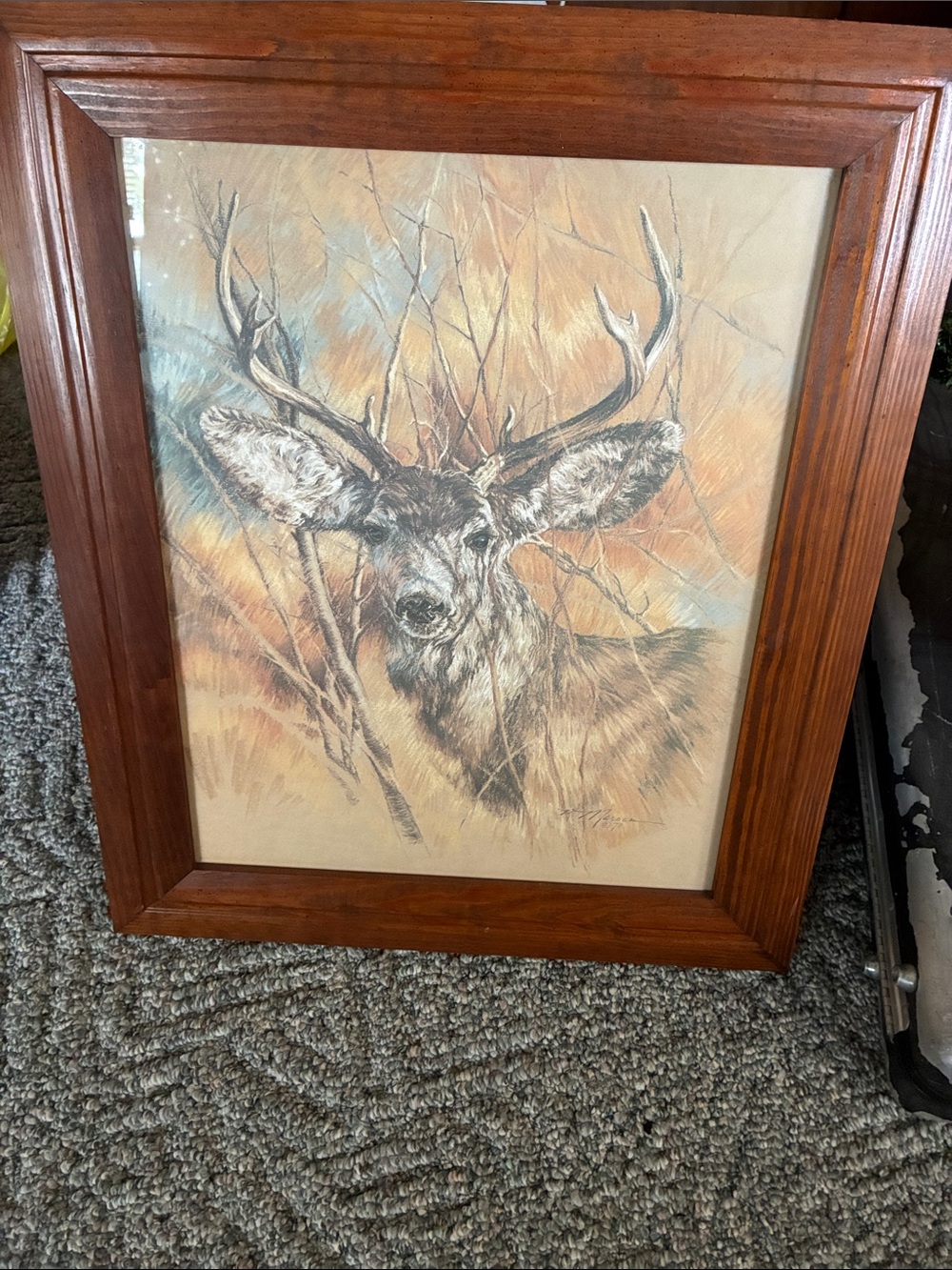 Vtg 1978 K Maroon SILENT BUCK Deer Lithograph 20"x17" Litho Art Print Picture